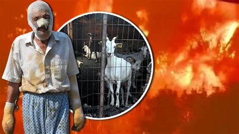 S­a­m­s­u­n­­d­a­ ­A­h­ı­r­d­a­ ­Ç­ı­k­a­n­ ­Y­a­n­g­ı­n­d­a­n­ ­H­a­y­v­a­n­l­a­r­ı­n­ı­ ­K­u­r­t­a­r­m­a­k­ ­İ­s­t­e­y­e­n­ ­K­i­ş­i­ ­Y­a­r­a­l­a­n­d­ı­